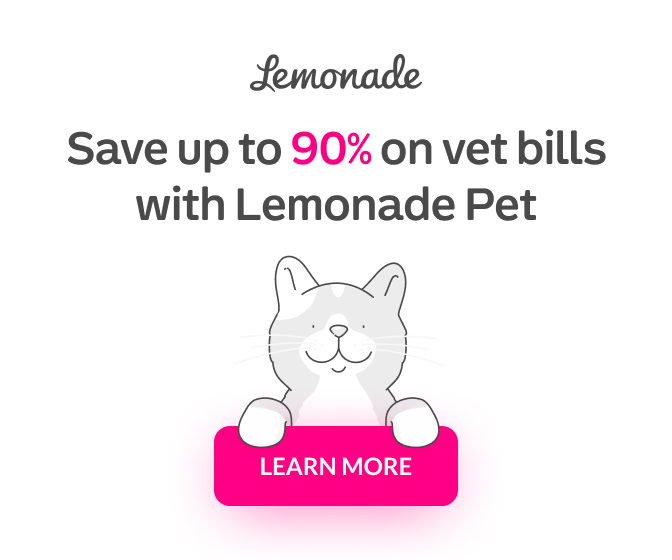 Lemonade Pet Insurance Review: Is it Right for Your Pet?