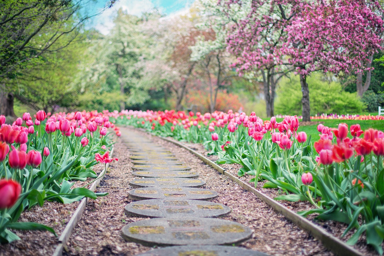 Raised Garden Beds Vs In Ground Gardening: Building Your Perfect Garden Layout